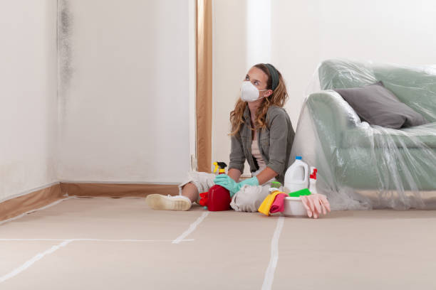 Reliable Black Mold Remediation contractor in Bloomington, TX by Mold Remediation HQ